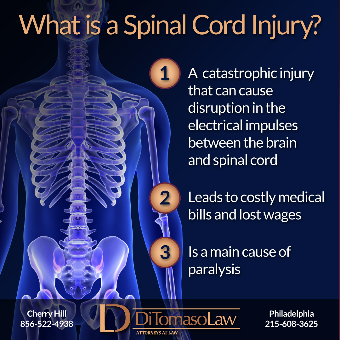 New Jersey Spinal Cord Injury Lawyers | Spine Injury Attorneys Cherry ...